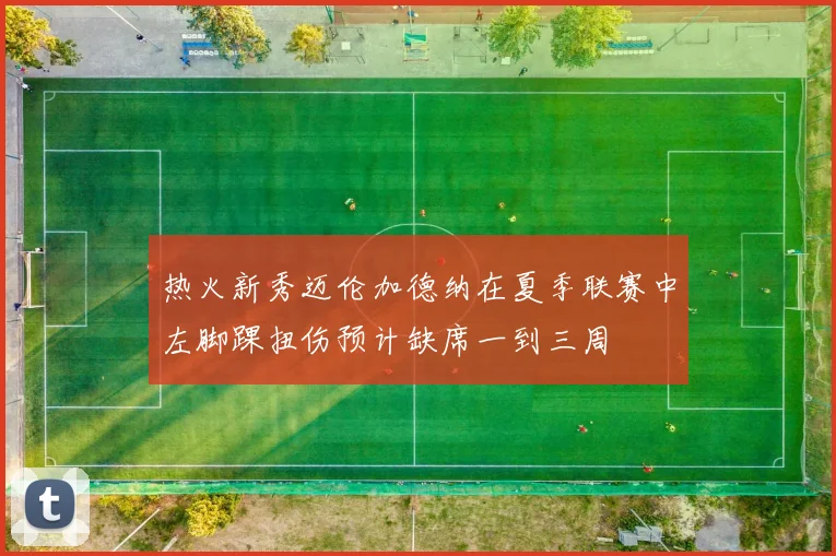 热火新秀迈伦加德纳在夏季联赛中左脚踝扭伤预计缺席一到三周
